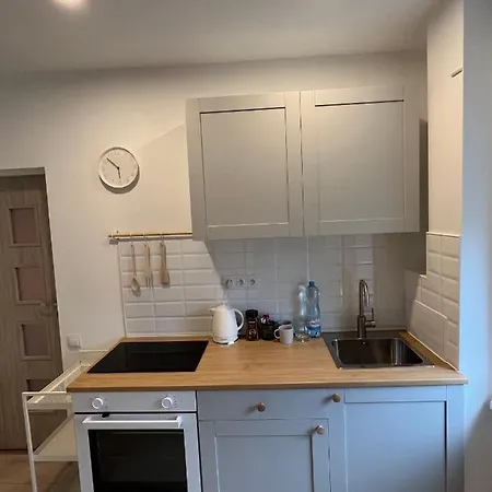London Apartments - Free Parking Катовіце Екстер'єр фото